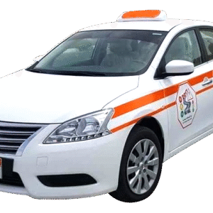 VIP Package light vehicle driving license